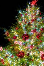 クリスマスツリーの飾りつけの名前や意味は？星やキラキラは？