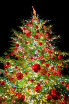 クリスマスツリーはなぜ飾る？もみの木はどうして？由来を解説するよ！